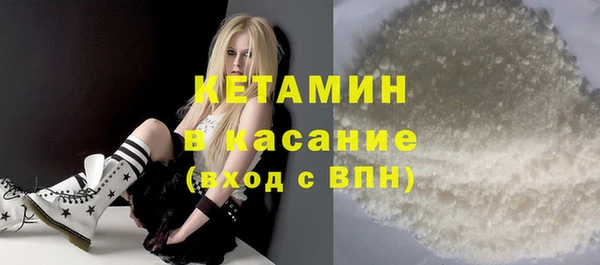 гашик Алексин