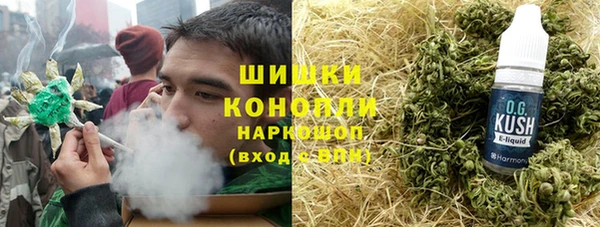 гашик Алексин