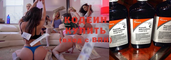 гашик Алексин