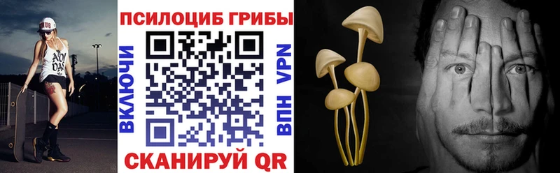 цены   Лагань  Галлюциногенные грибы Psilocybe 